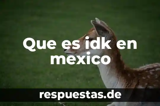 Palabras para decir que es el carnaval en mexico 4 Que es idk en mexico