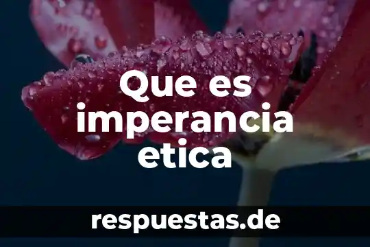 Que es la teoría ética deontológica 6 Que es imperancia etica