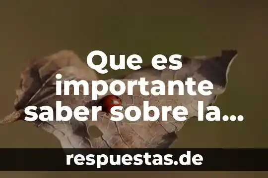 Buscamos amor sin saber lo que es 5 Que es importante saber sobre la sexualidad