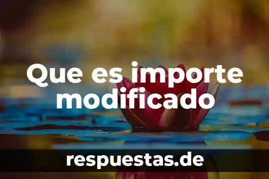 Que es un juego modificado y jemplos 4 Que es importe modificado