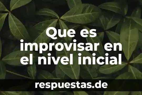 Que es conocimiento a nivel usuario 7 Que es improvisar en el nivel inicial