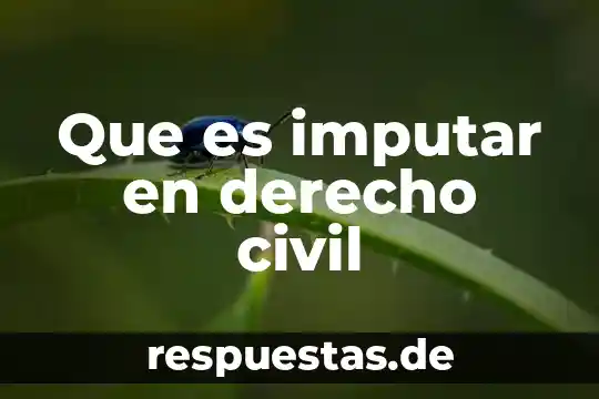 Que es imputar en derecho civil
