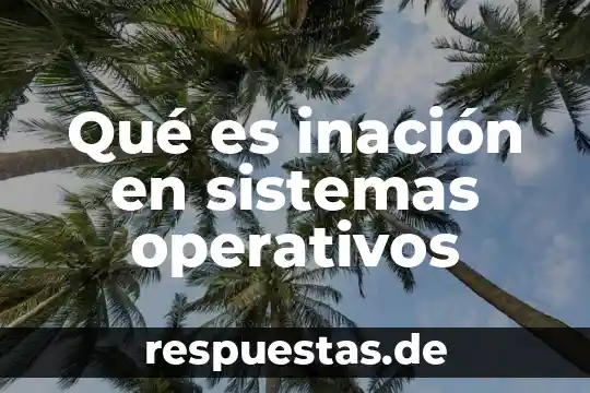 Que es seccion concepto en sistemas operativos 5 Qué es inación en sistemas operativos