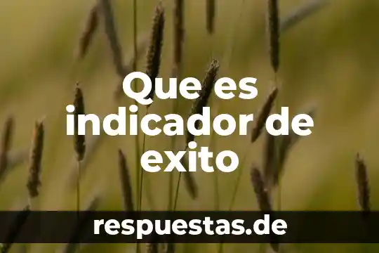 Quimica que es un indicador 5 Que es indicador de exito