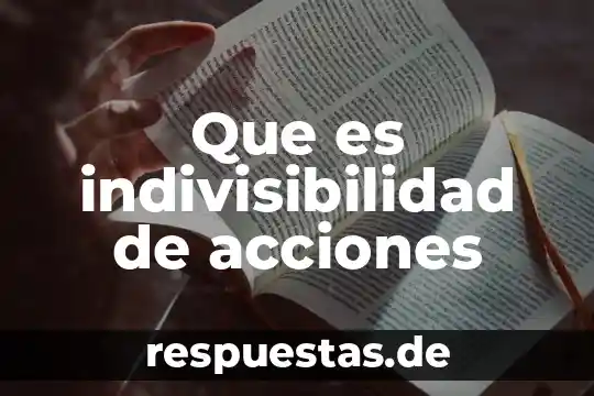 Qué es el polietileno concepto 5 Que es indivisibilidad de acciones