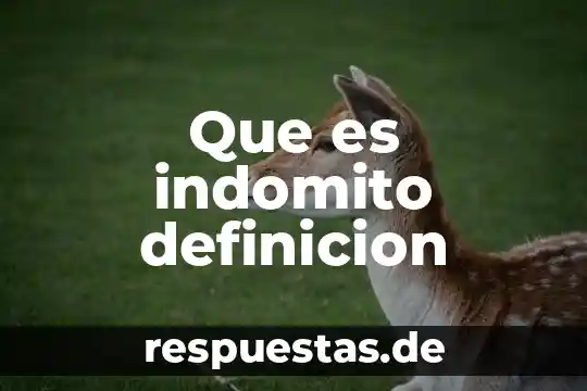Que es una bomba atómica definición 3 Que es indomito definicion