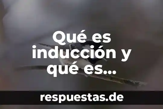 Qué es pretérito perfecto condicional ejemplo saltar 5 Qué es inducción y qué es deducción en lógicas