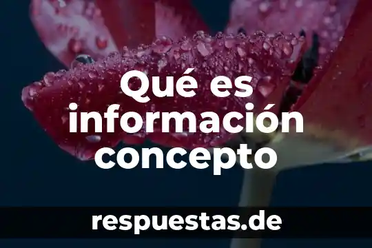 Qué es información concepto
