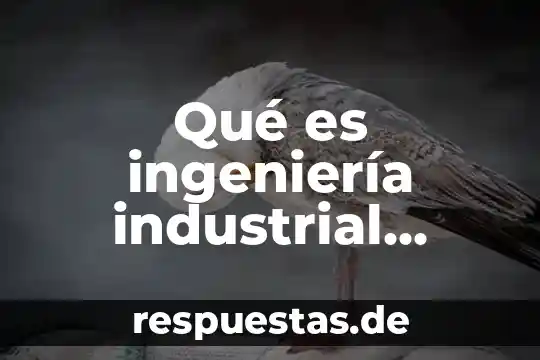 Que es el concepto de habilidades 4 Qué es ingeniería industrial concepto