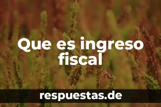Que es estudio correnacional 8 Que es ingreso fiscal