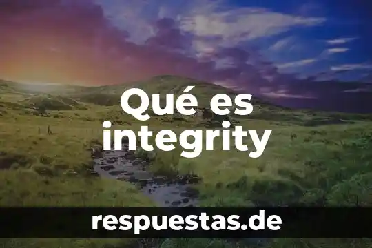 5To dan que es 6 Qué es integrity