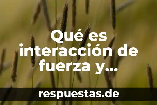 Que es sufijo latino ejemplos 4 Qué es interacción de fuerza y ejemplos