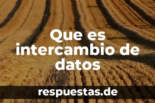 Qué es la teoría de datos 4 Que es intercambio de datos