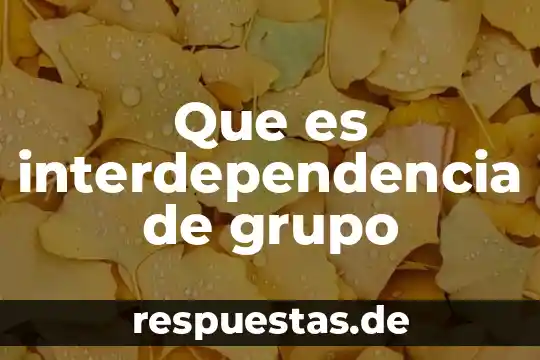 Texto de que es interdependencia 3 Que es interdependencia de grupo