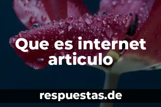 Que es internet articulo