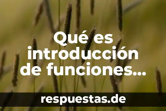 Que es el elemento diferencial equilibrio 8 Qué es introducción de funciones en cálculo diferencial
