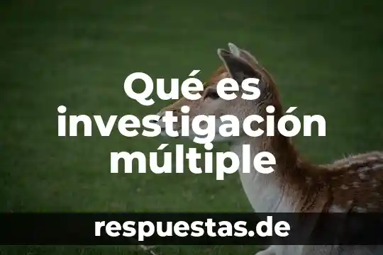 Qué es investigación múltiple