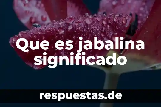 Que es turbios significado 4 Que es jabalina significado