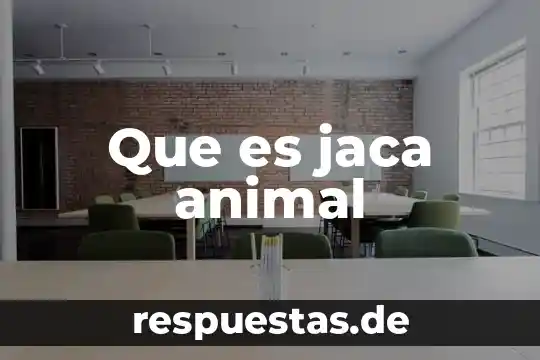 Que es una clase de animal 6 Que es jaca animal
