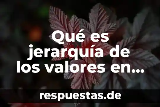 Que es lucidez en valores 3 Qué es jerarquía de los valores en ética