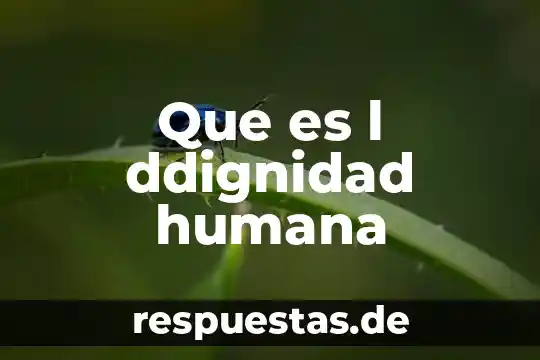 Que es movimiento rectilíneo uniformemente 5 Que es l ddignidad humana