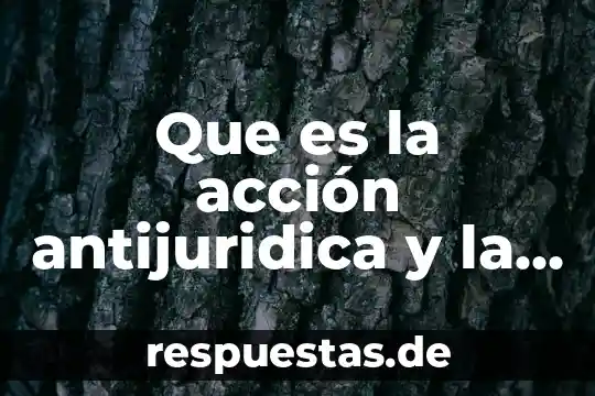 Que es una sanción directa 8 Que es la acción antijuridica y la sanción