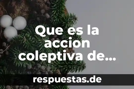 Qué es la sct en México 3 Que es la accion coleptiva de mexico