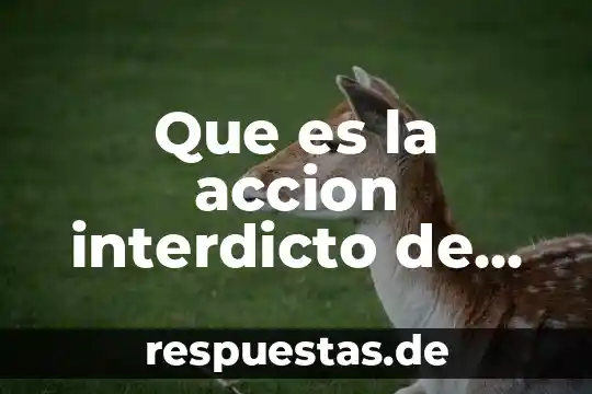 Que es una obra de arte representativa 8 Que es la accion interdicto de obra nueva