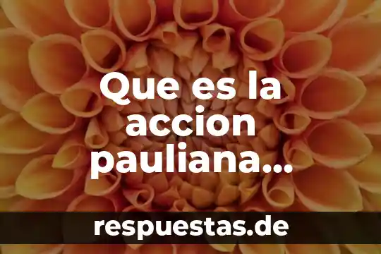 Que es la acción oblicua o indirecta 5 Que es la accion pauliana concepto juridico