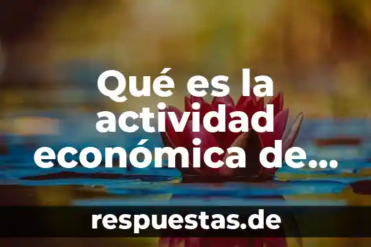 Que es libertad economica en economia 4 Qué es la actividad económica de una empresa ejemplos