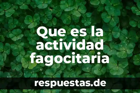 Que es evasivos significado 7 Que es la actividad fagocitaria