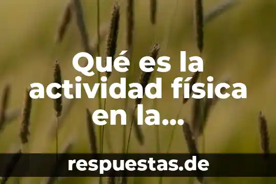 Que es la carrera de cultura fisica 4 Qué es la actividad física en la educación