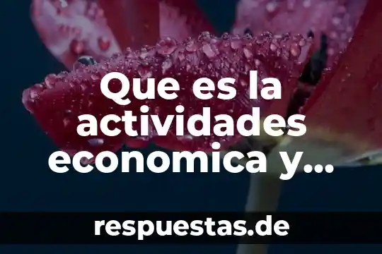 Qué es el tocho bandera cuántas personas participan 8 Que es la actividades economica y en cuantas se dividen