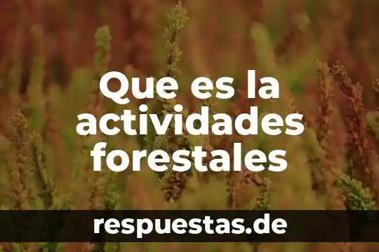 Que es el pibe en actividades agricolas 7 Que es la actividades forestales