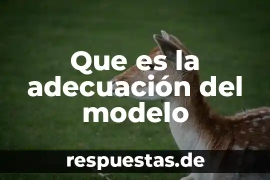¿Qué es la investigación científica y su historia? 8 Que es la adecuación del modelo