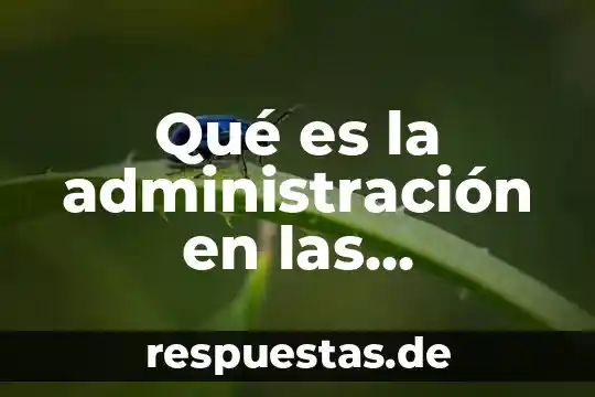 Concepto que es la flora 8 Qué es la administración en las sociedades mercantiles concepto