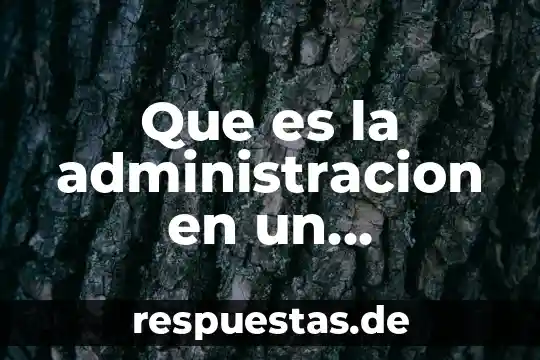 Que es un inventario de control de existencia 7 Que es la administracion en un inventario