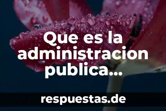 Que es funcion publica 3 Que es la administracion publica desconcentrada autores