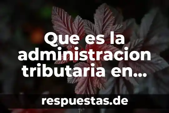 Qué es el principio de exclusividad en materia tributaria 5 Que es la administracion tributaria en bolivia