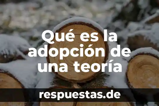 Qué es la adopción de una teoría