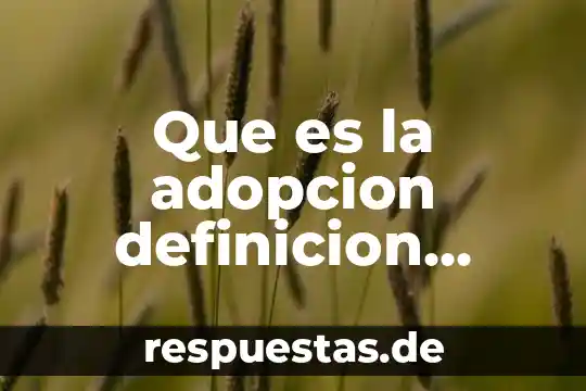 Que es la adopcion definicion personal