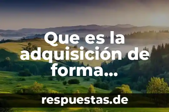 Que es la adquisicion del significado 3 Que es la adquisición de forma deportiva