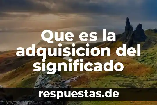 Que es la adquisición de forma deportiva 3 Que es la adquisicion del significado