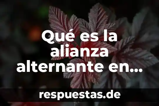 Qué es una maqueta estructural 3 Qué es la alianza alternante en la terapia estructural