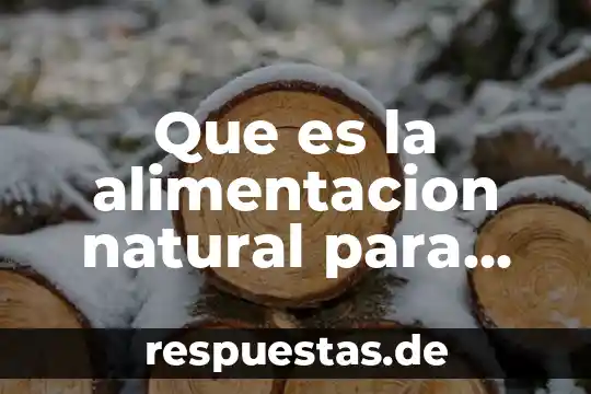 Belleza natural que es 3 Que es la alimentacion natural para perros