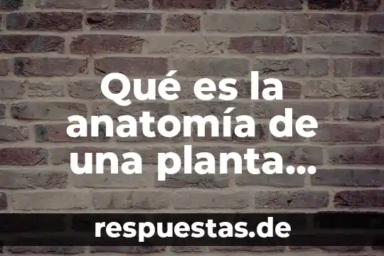 Qué es las espicolas de la planta 5 Qué es la anatomía de una planta vegetal