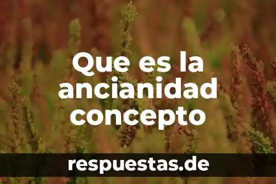 Que es la ancianidad concepto