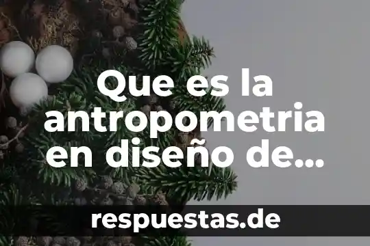 Que es un diseño idealizado 6 Que es la antropometria en diseño de modas