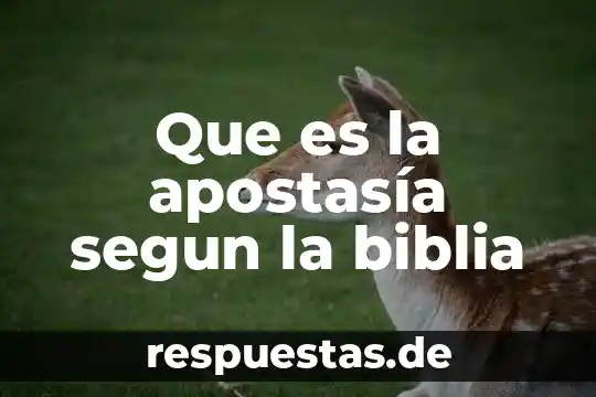 Que es la natividad segun la biblia 3 Que es la apostasía segun la biblia