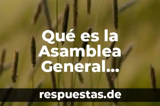 Qué es disposición general del cuerpo animal 3 Qué es la Asamblea General Constitutiva en materia mercantil
